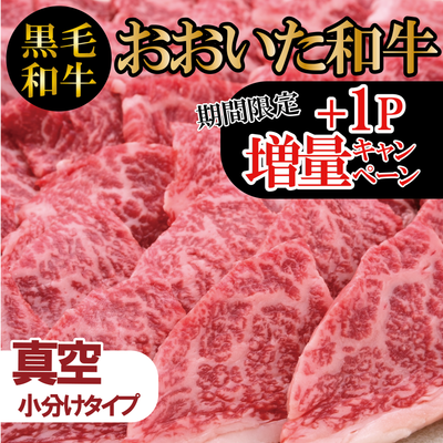 【増量キャンペーン】【黒毛和牛】おおいた和牛モモ焼肉《普段使いに便利な小分けパック》